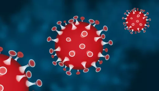 Anatomical, Physiological Barriers and Bacteria