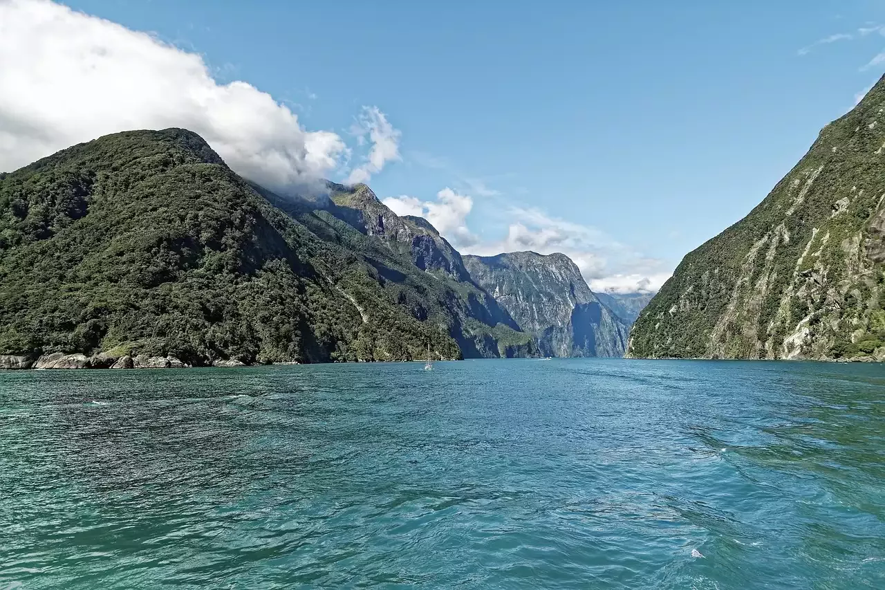 Eco-Friendly Retreats in New Zealand