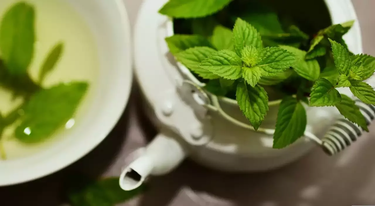 Mindful Tips on Navigating the Menopause
