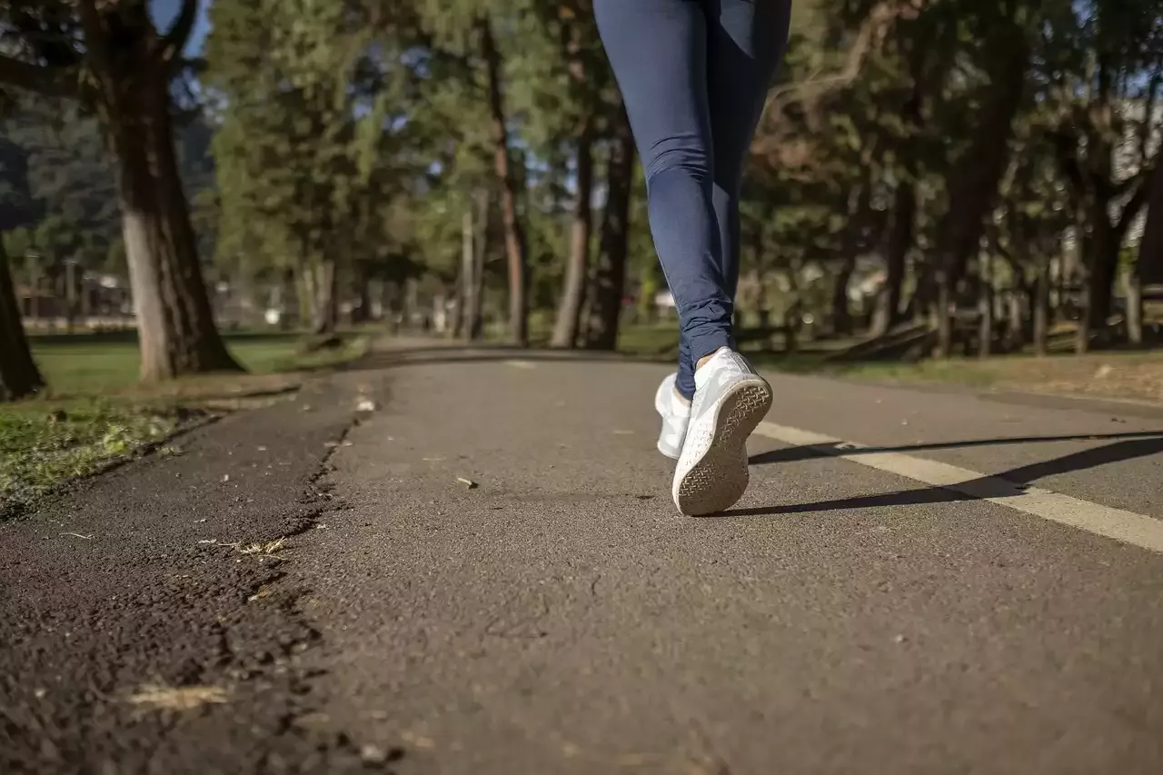 Jogging and Running are Fat Burners